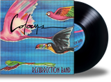 Resurrection Band – Colours (Limited Run Vinyl) 3 Colors, Gatefold Jacket + Band Poster